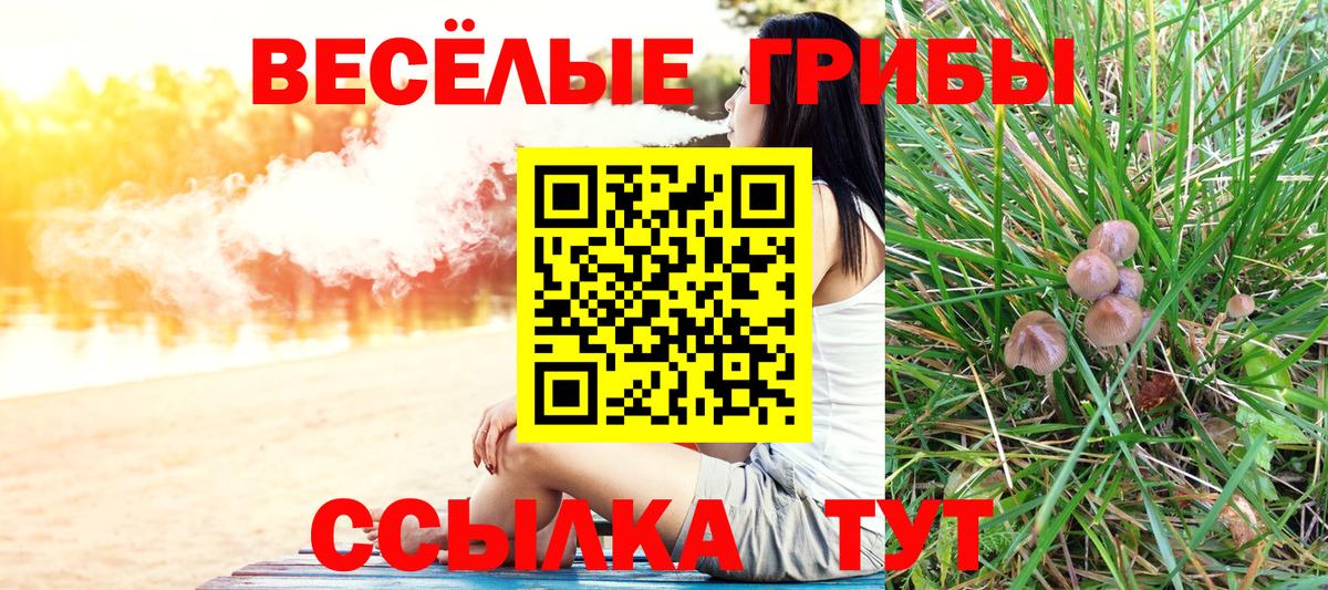 Истра  купить   Вход с VPN  Псилоцибиновые грибы GOLDEN TEACHER 